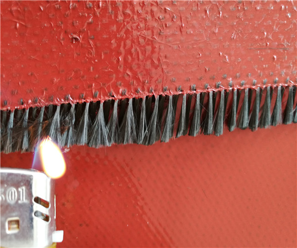 49155990253.jpg