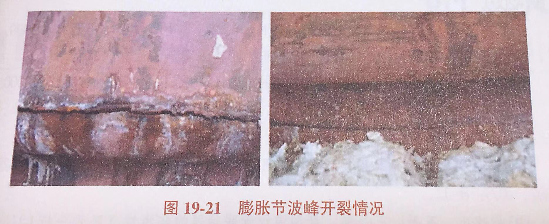 微信图片_20200111114453.jpg
