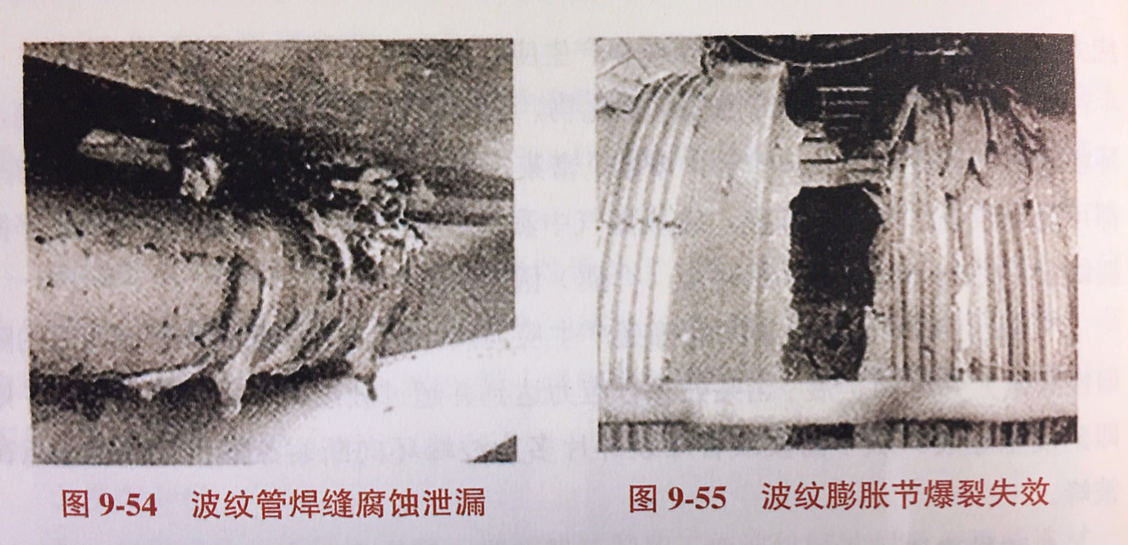 微信图片_20201102144330.jpg